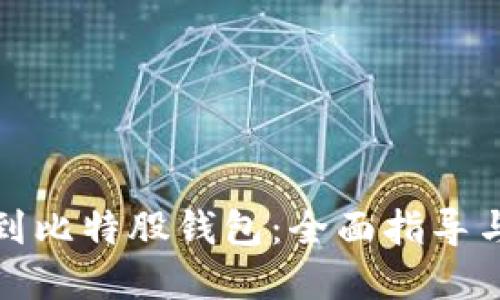 如何提币到比特股钱包：全面指导与实用技巧