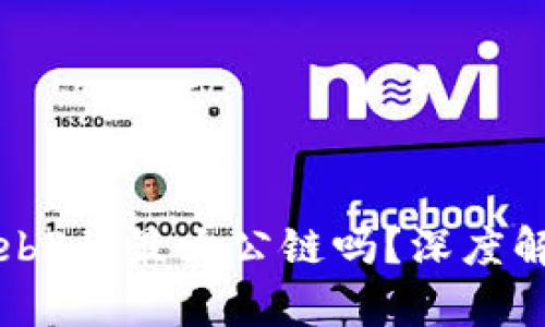 派币是Web3的最大公链吗？深度解析与展望