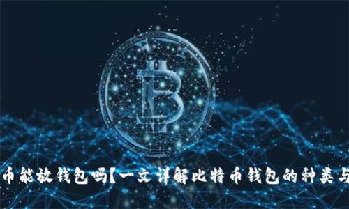 比特币能放钱包吗？一文详解比特币钱包的种类与使用
