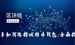 新手如何选择比特币钱包：全面指南