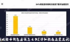 提币到比特币钱包后该怎么做？详细指南与常见