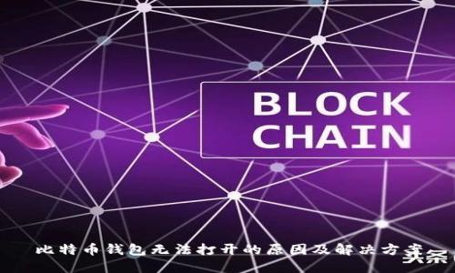 比特币钱包无法打开的原因及解决方案