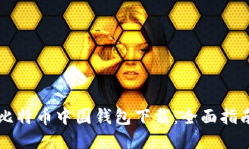 比特币中国钱包下载：全面指南