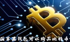 中国苹果钱包可以购买比