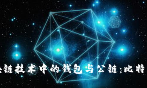 探索区块链技术中的钱包与公链：比特币的未来