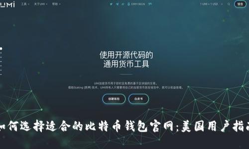 如何选择适合的比特币钱包官网：美国用户指南