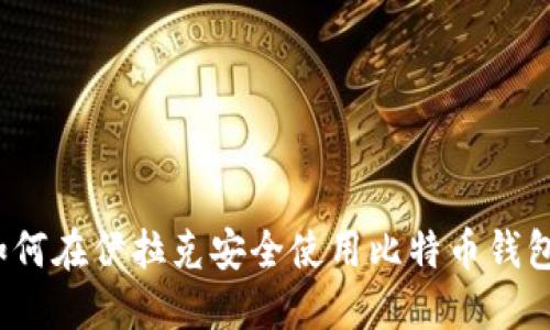 如何在伊拉克安全使用比特币钱包？