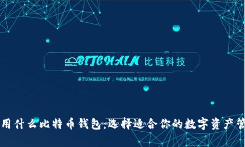 新手使用什么比特币钱包：选择适合你的数字资产管理工具