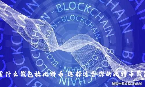 用什么钱包放比特币：选择适合你的比特币钱包