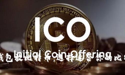 用什么钱包放比特币：选择适合你的比特币钱包