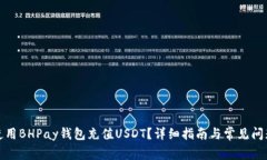 如何使用BHPay钱包充值US