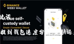 和关键词USDT提到钱包速度分析：是快还是慢？