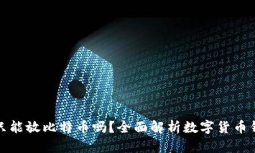 比特币钱包只能放比特币吗？全面解析数字货币钱包的多样性