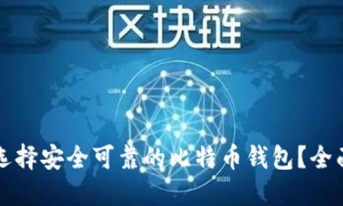 如何选择安全可靠的比特币钱包？全面指南