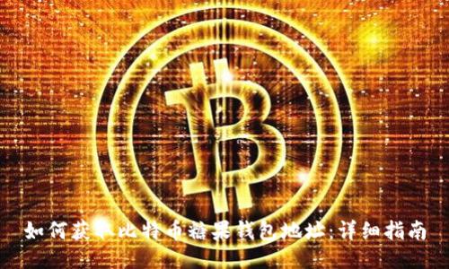 如何获取比特币糖果钱包地址：详细指南