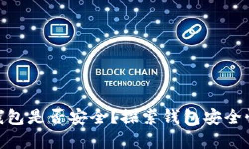 : 怎么看tp钱包是否安全？探索钱包安全性和保护措施