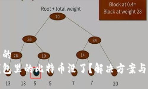 自己生成的  
比特币钱包里的比特币没了？解决方案与预防措施