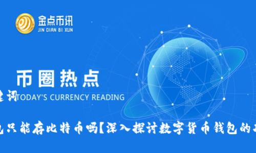 拟定和关键词

比特币钱包只能存比特币吗？深入探讨数字货币钱包的功能与限制