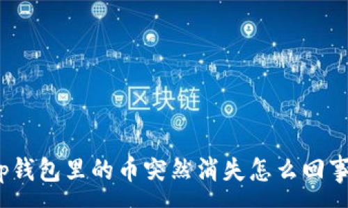 :
tp钱包里的币突然消失怎么回事？