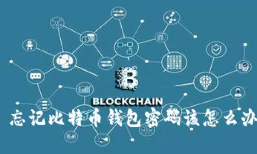 : 忘记比特币钱包密码该怎么办？